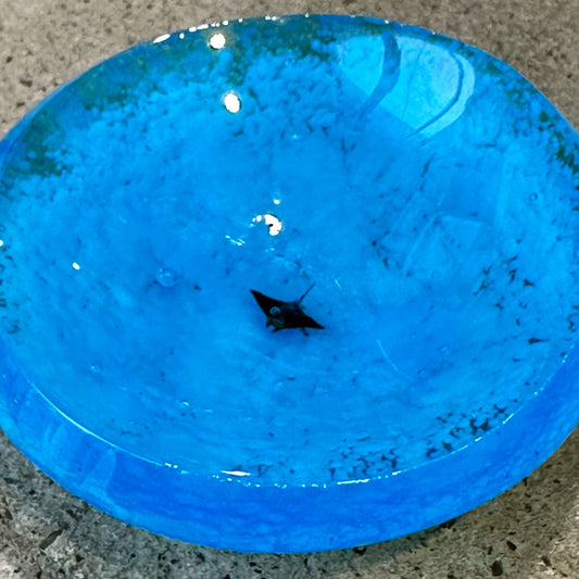 OCEAN PLATE(plate043)