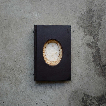 The Book of All Things (A6book028)