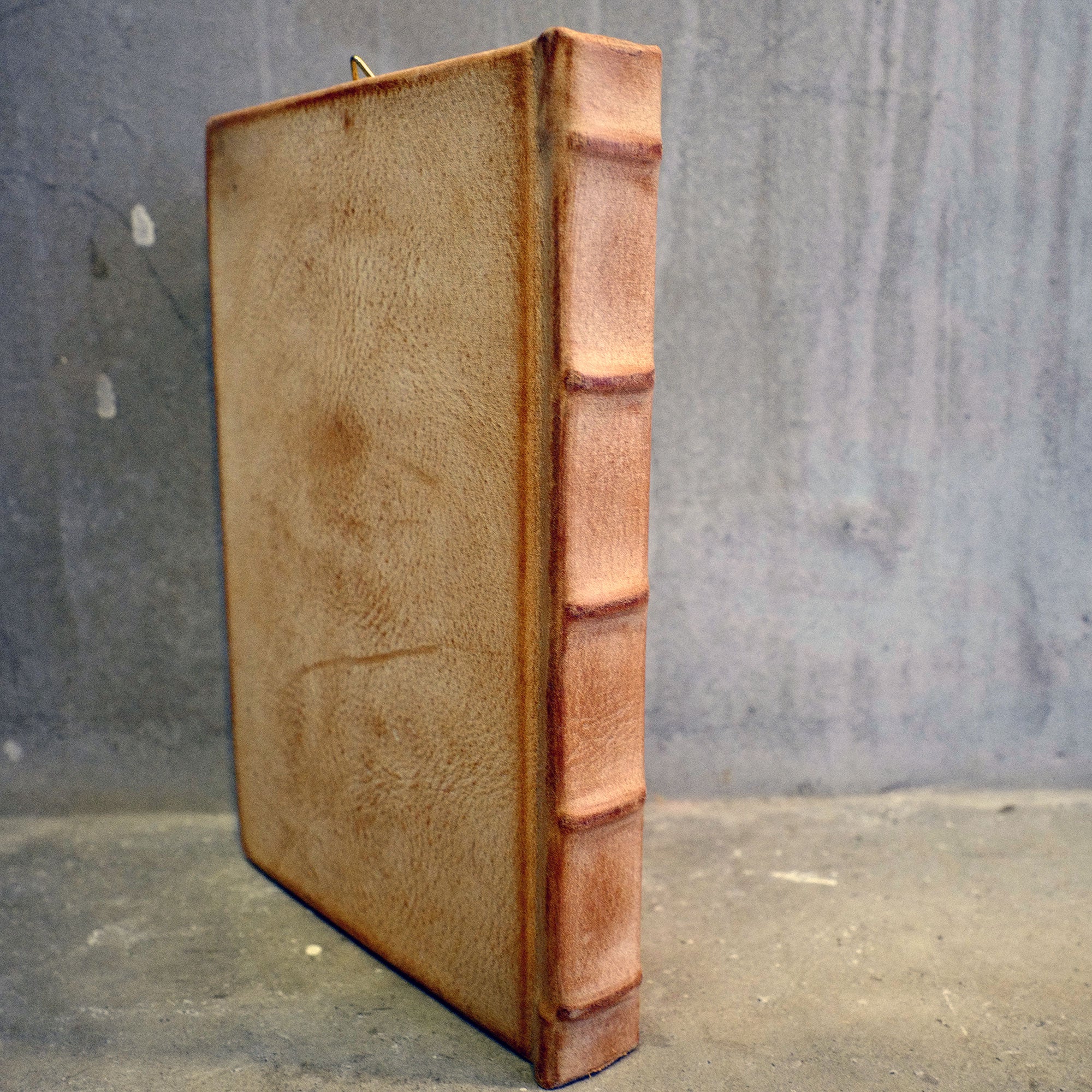 BORDER 01（鯨/樹）