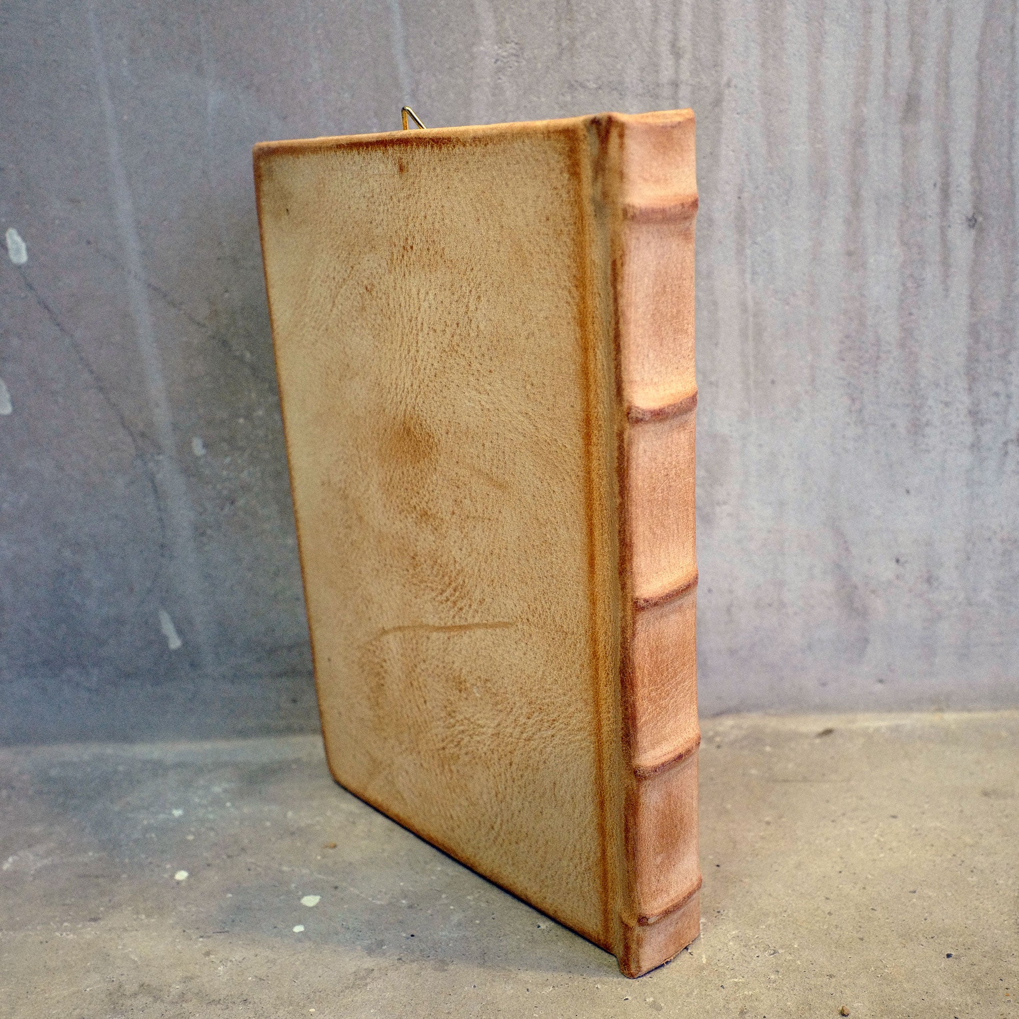 BORDER 04（聖樹）