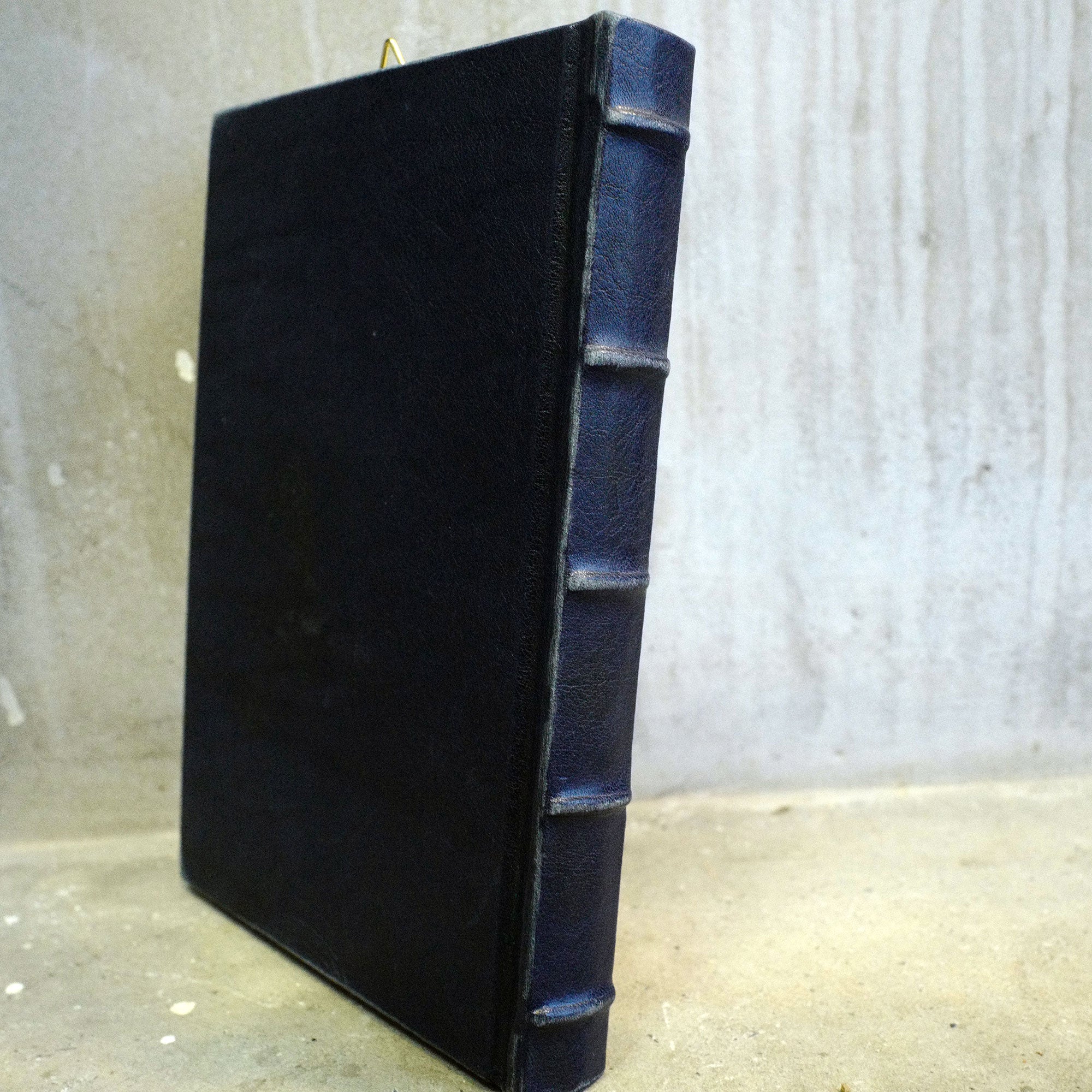 BORDER 08（ザトウクジラの一生）