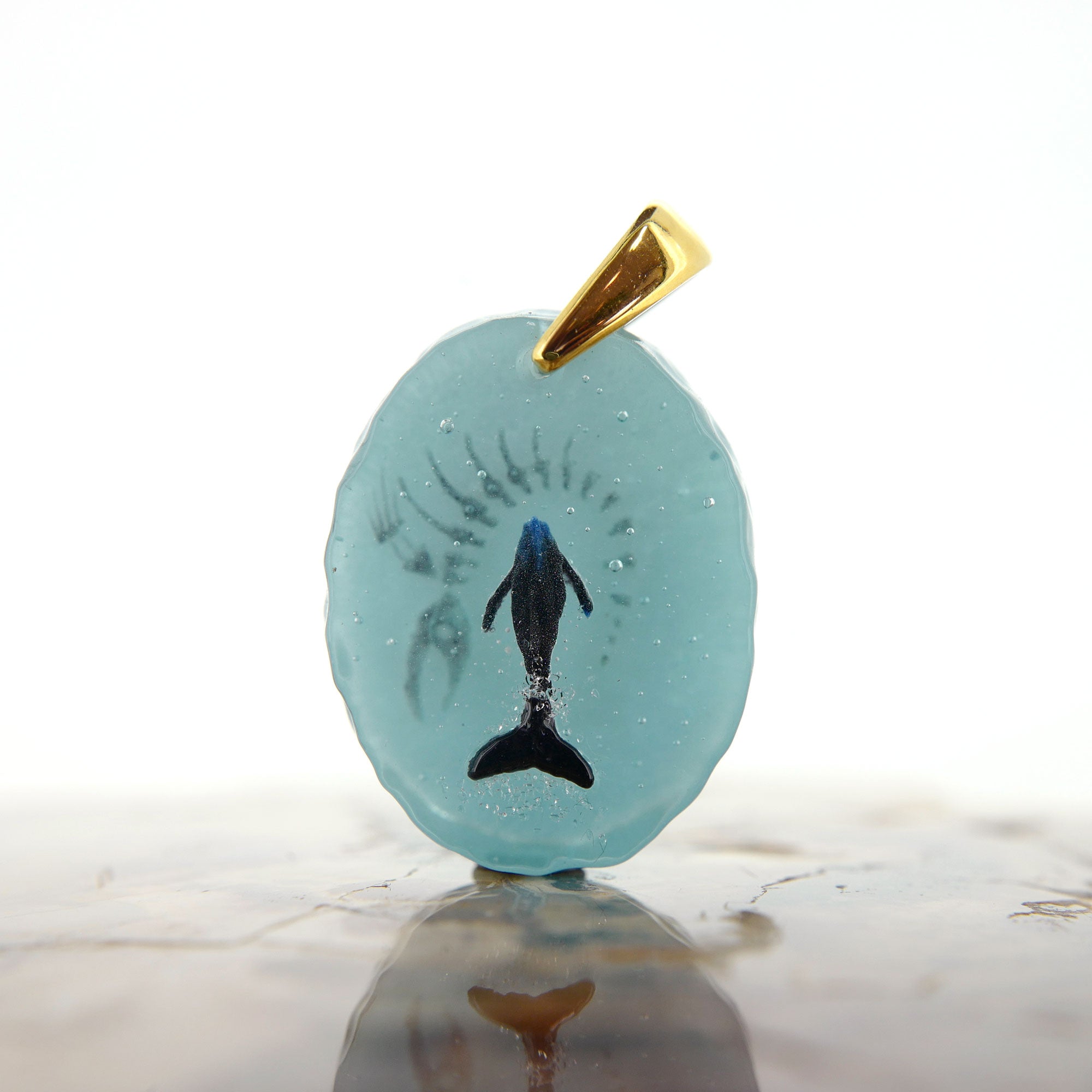 BORDER 08（ザトウクジラの一生）