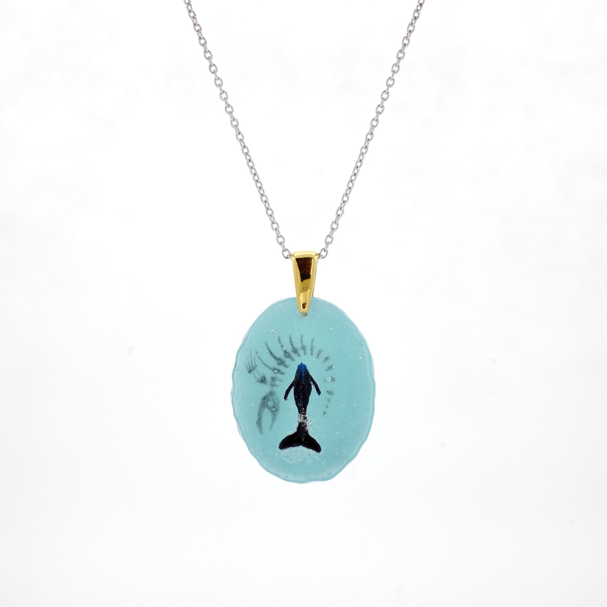 BORDER 08（ザトウクジラの一生）