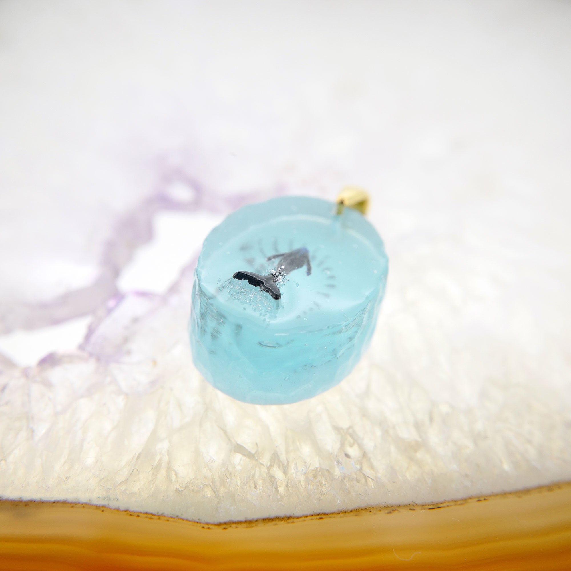 BORDER 08（ザトウクジラの一生）