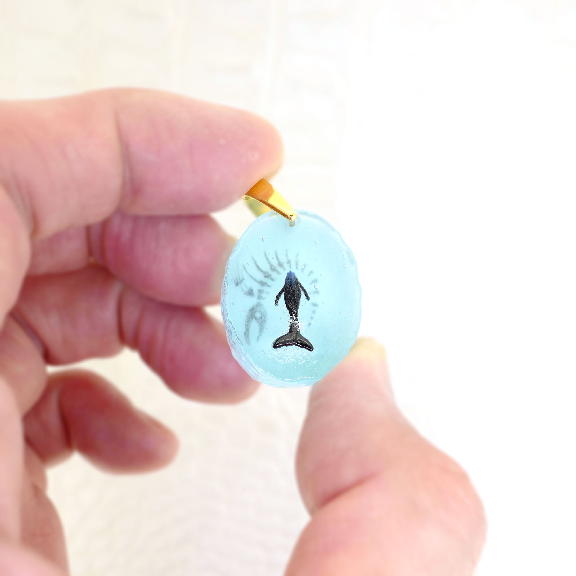 BORDER 08（ザトウクジラの一生）