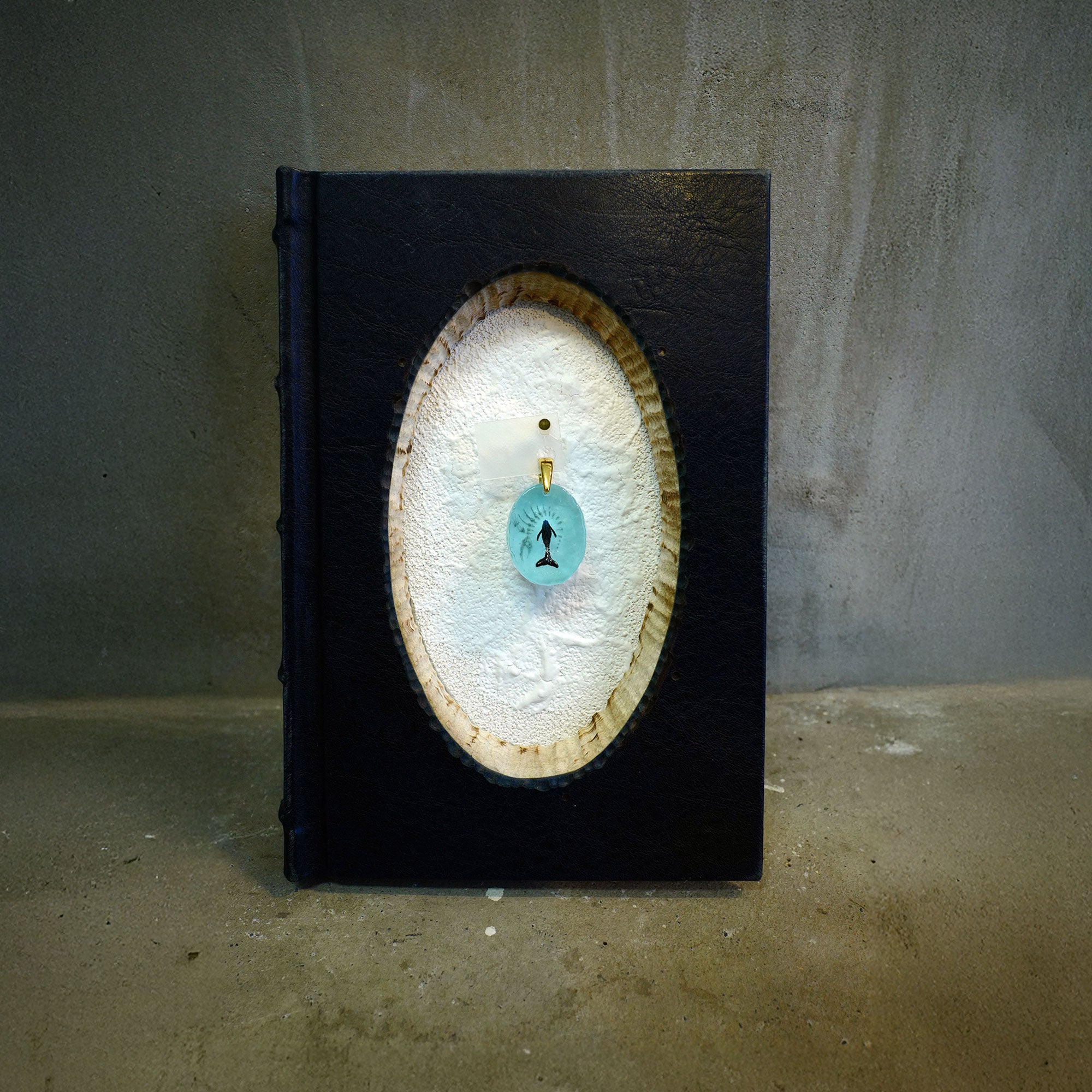 BORDER 08（ザトウクジラの一生）