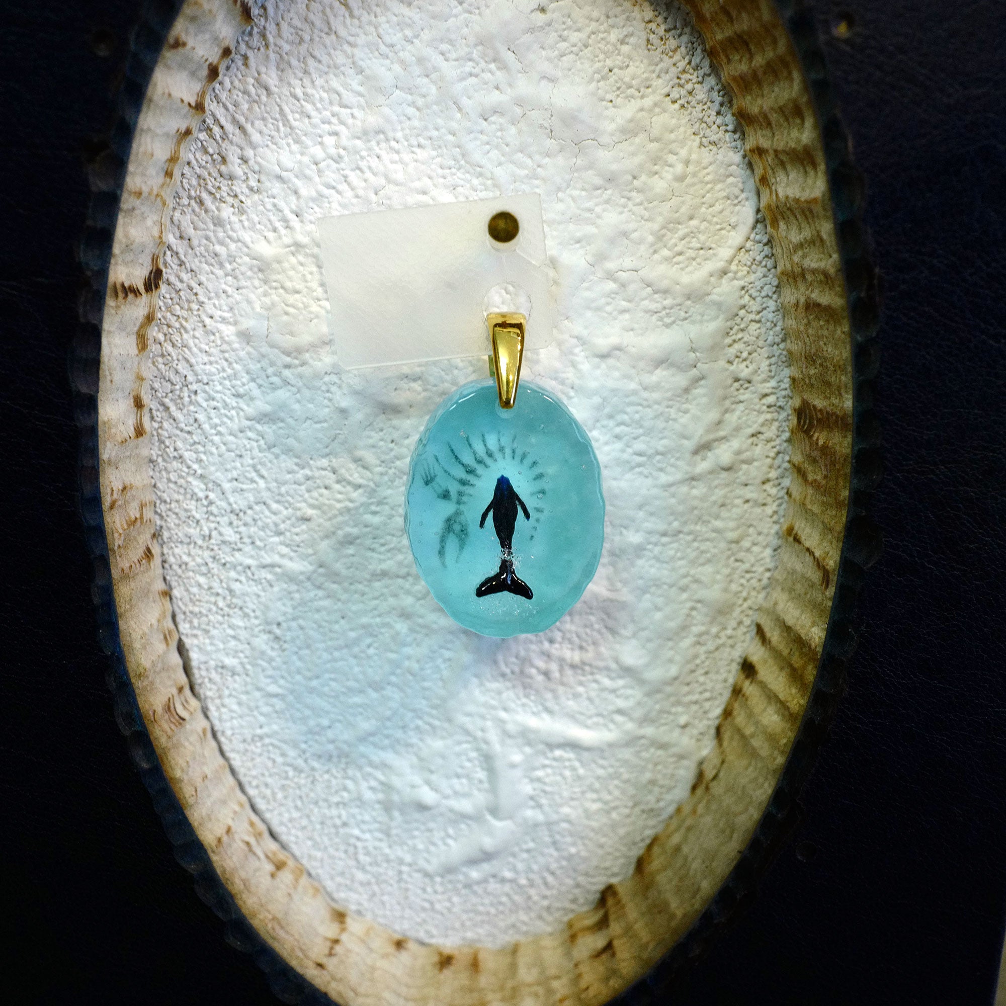 BORDER 08（ザトウクジラの一生）