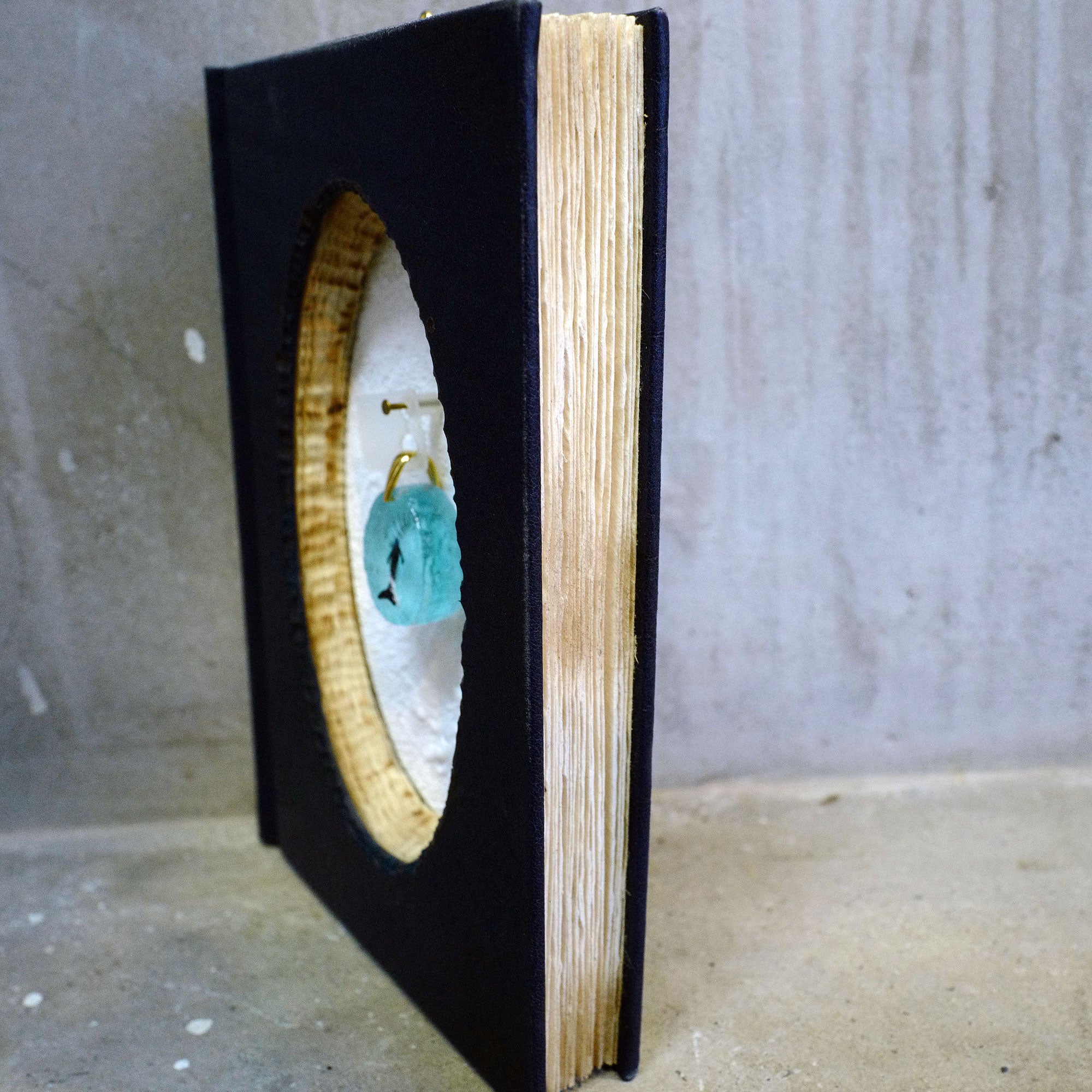 BORDER 08（ザトウクジラの一生）