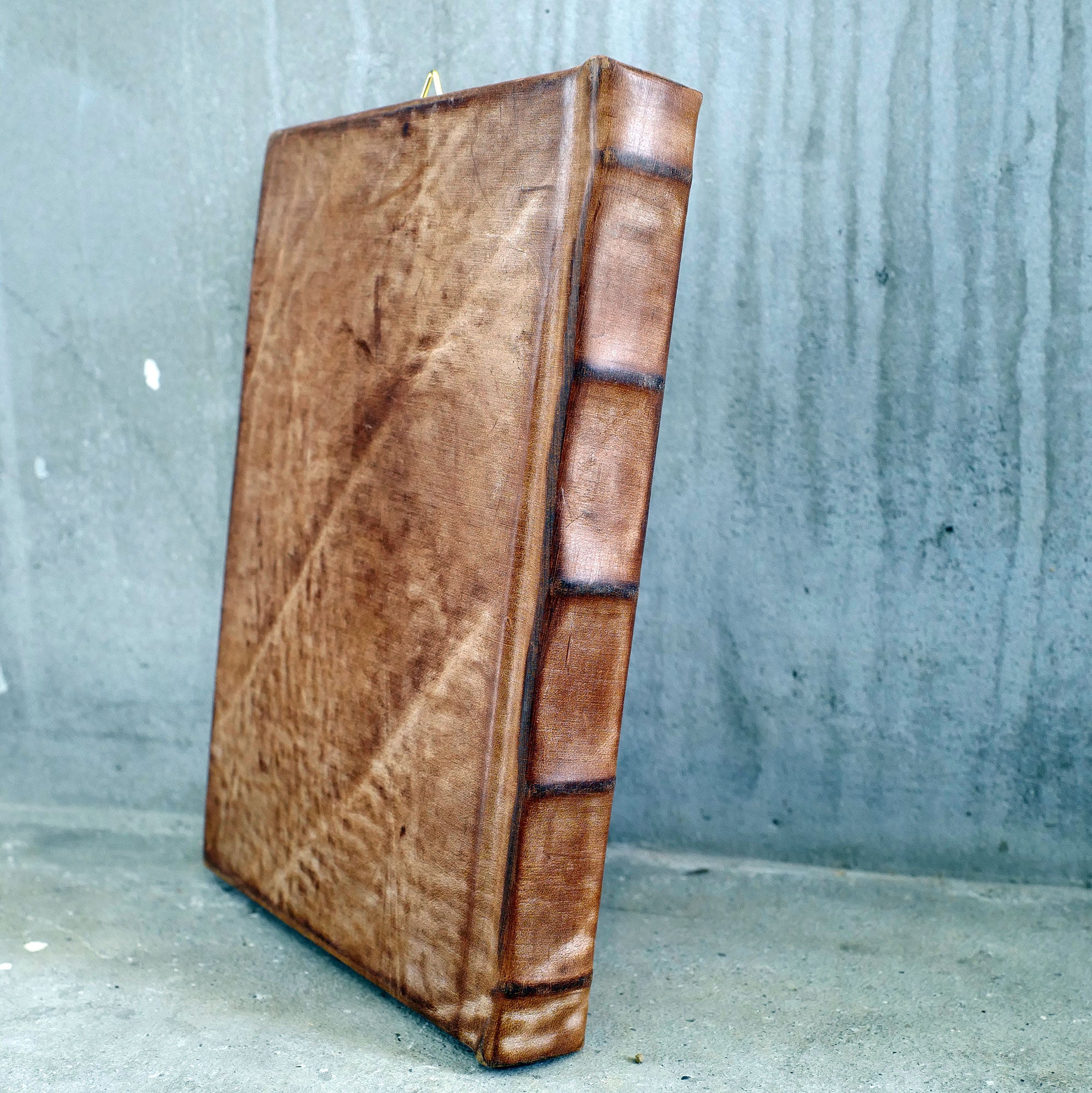 CREATURER 01（虎）