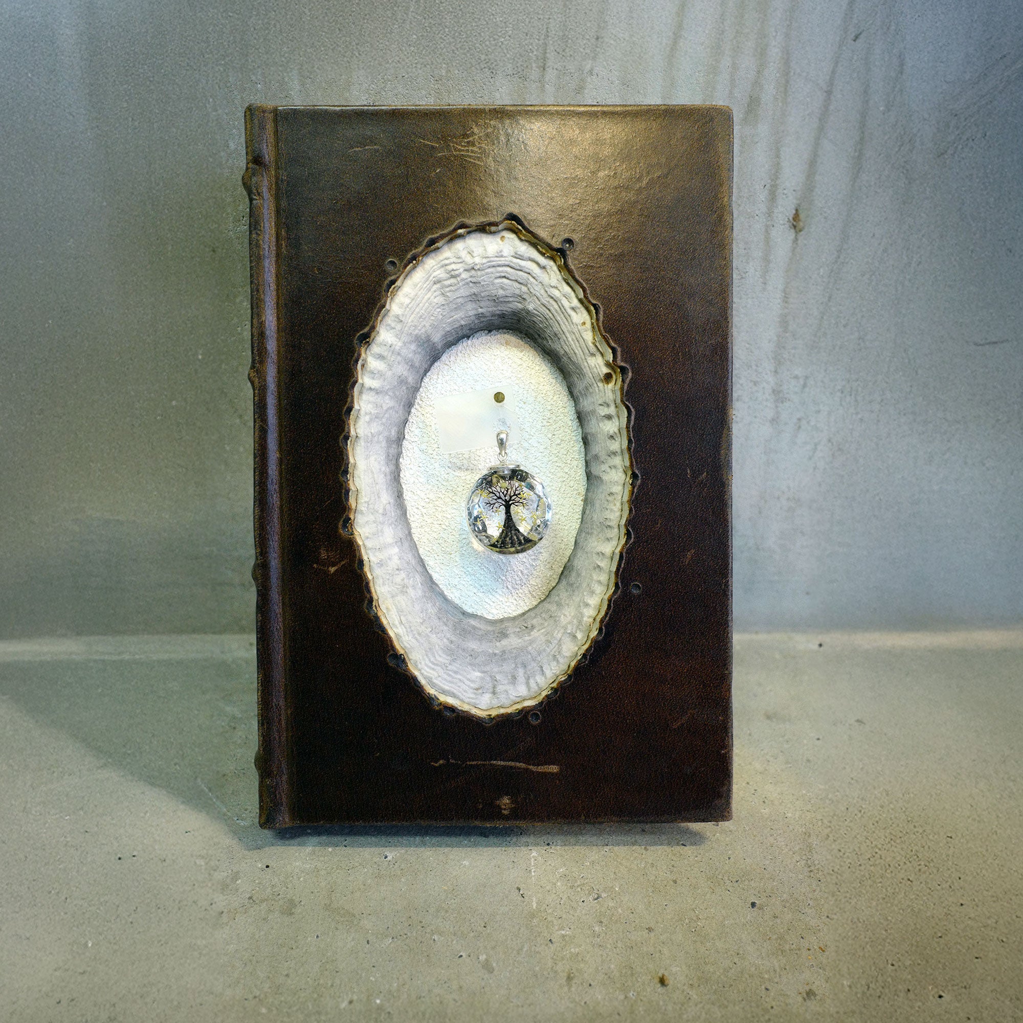 HOLYTREE 08（宿木/オーク）