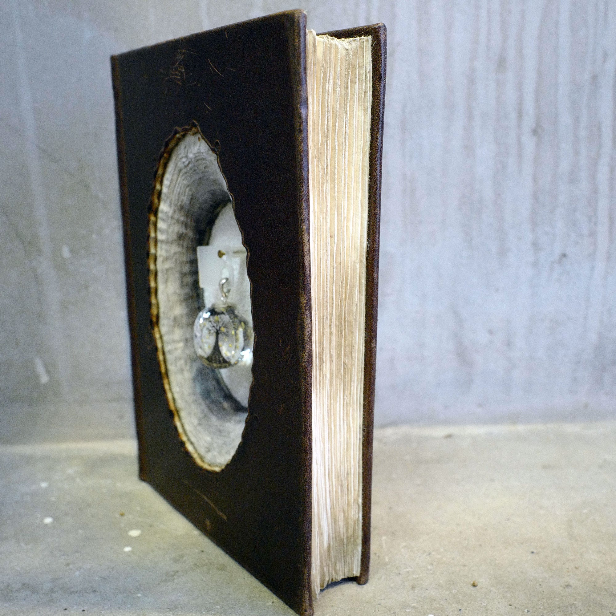 HOLYTREE 08（宿木/オーク）