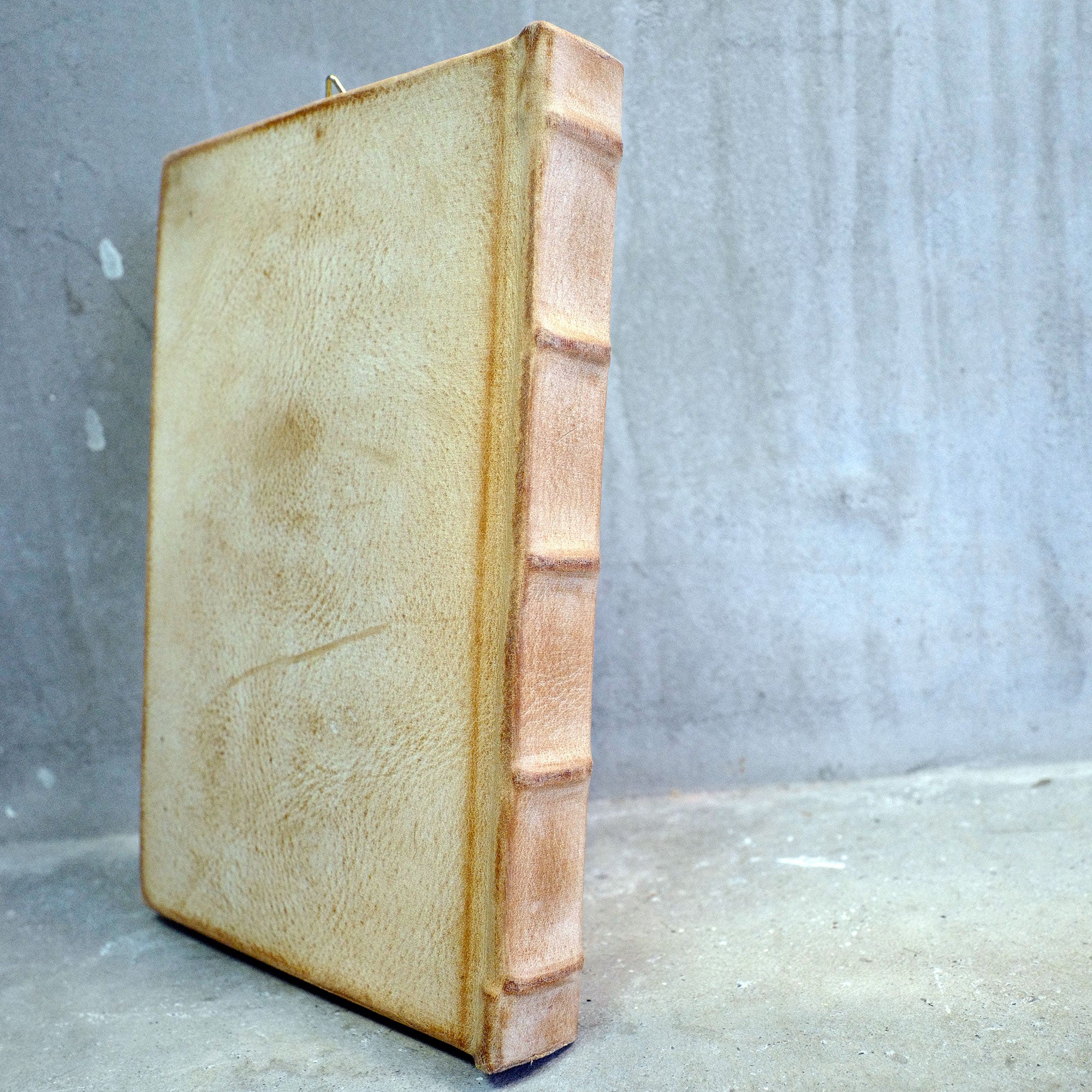 HOLYTREE 09（思いやりの木）