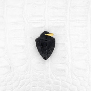 MEMORY 01 (Arrowhead/Wolf)