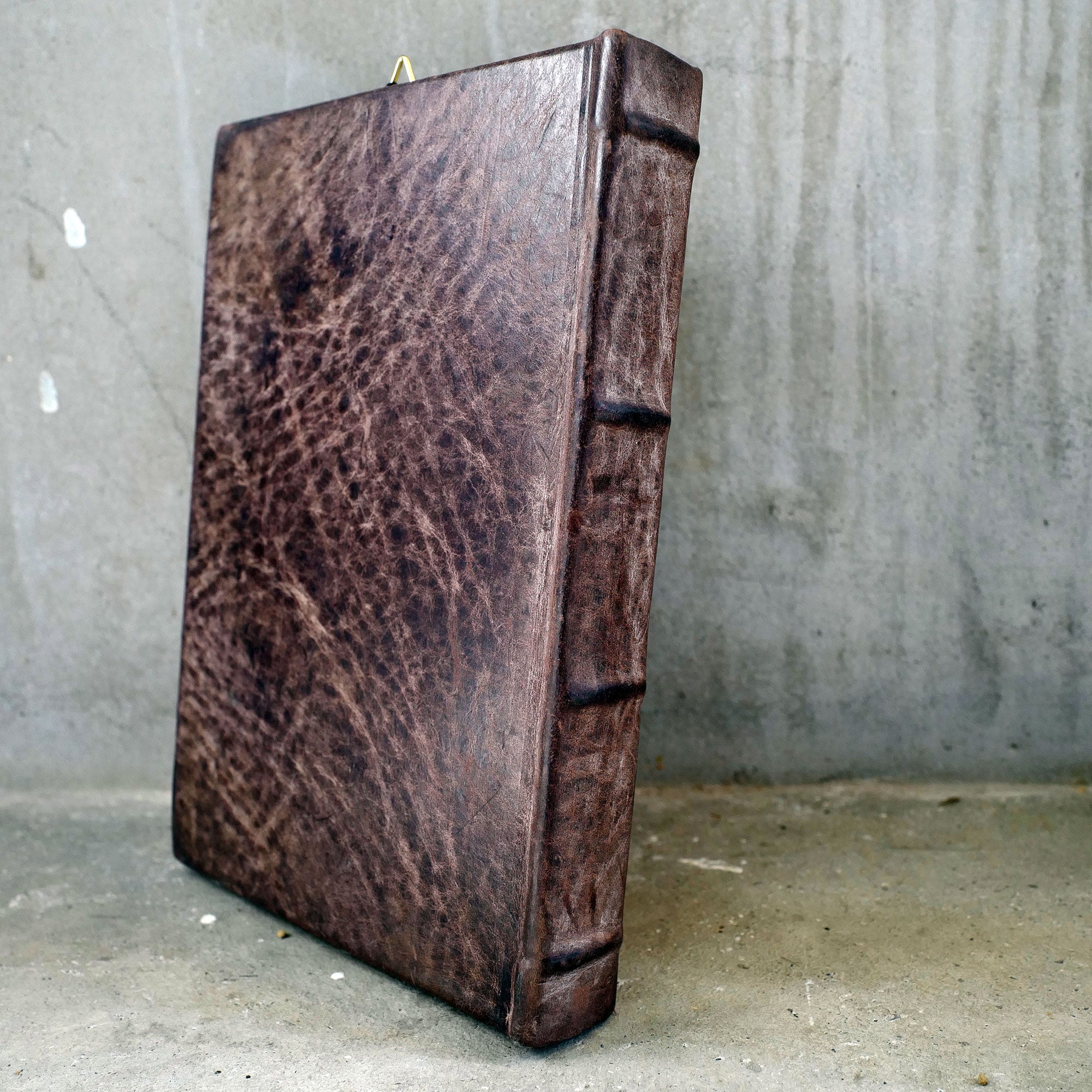 MOON 19（ユニコーン）