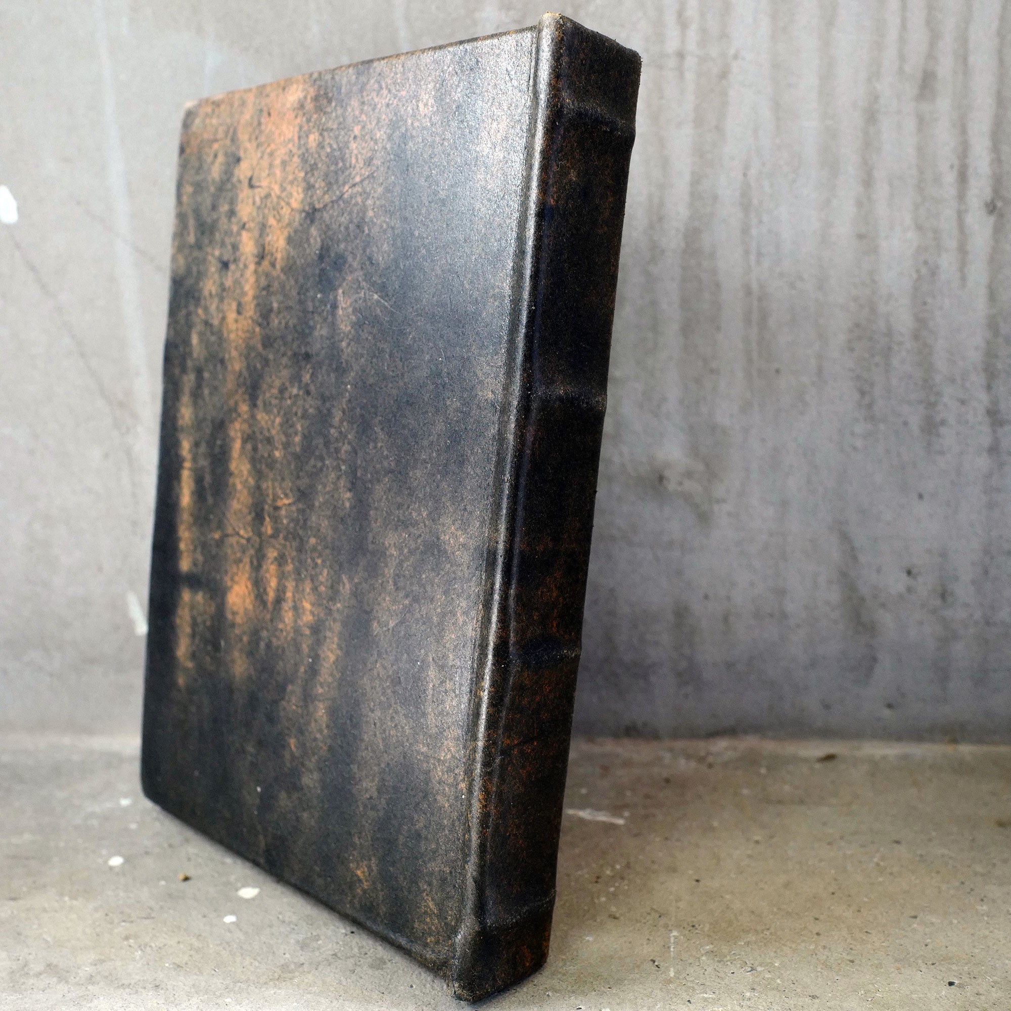 MOON 23（ドラゴン）