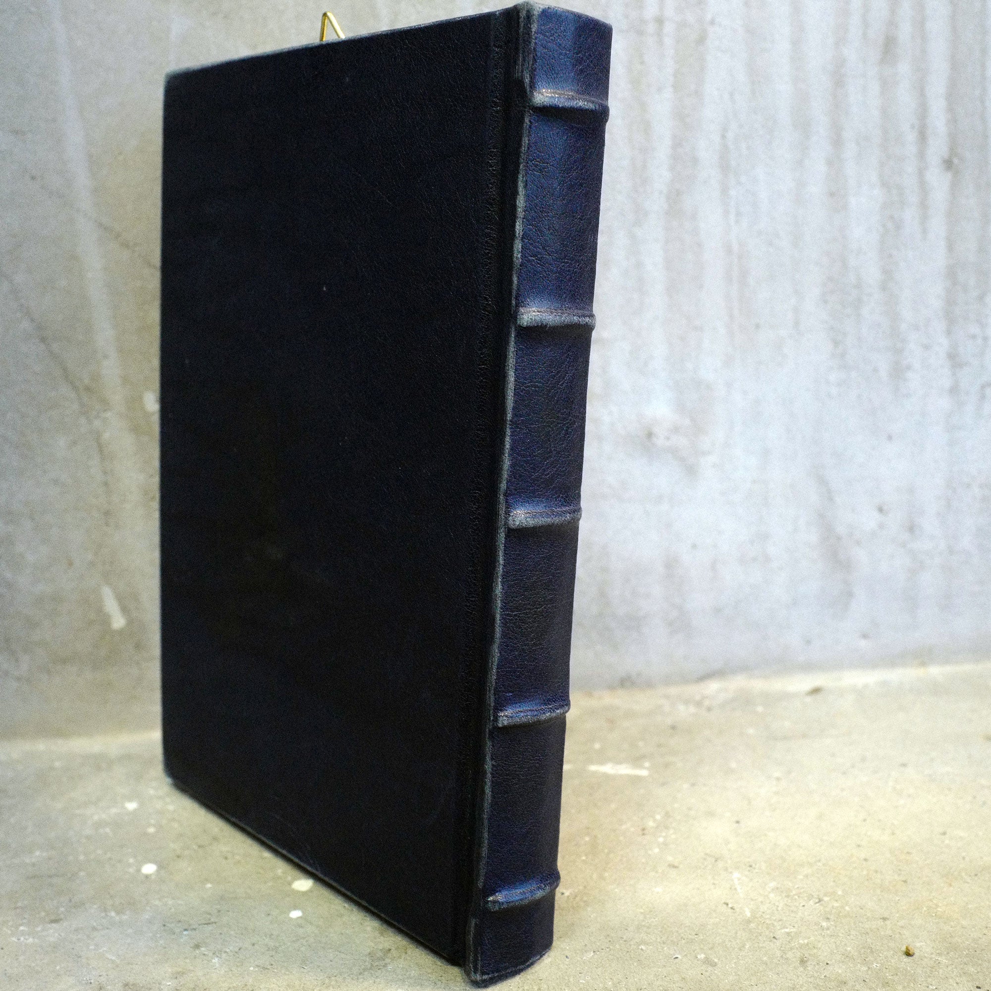 POLARIS 02（アザラシ）