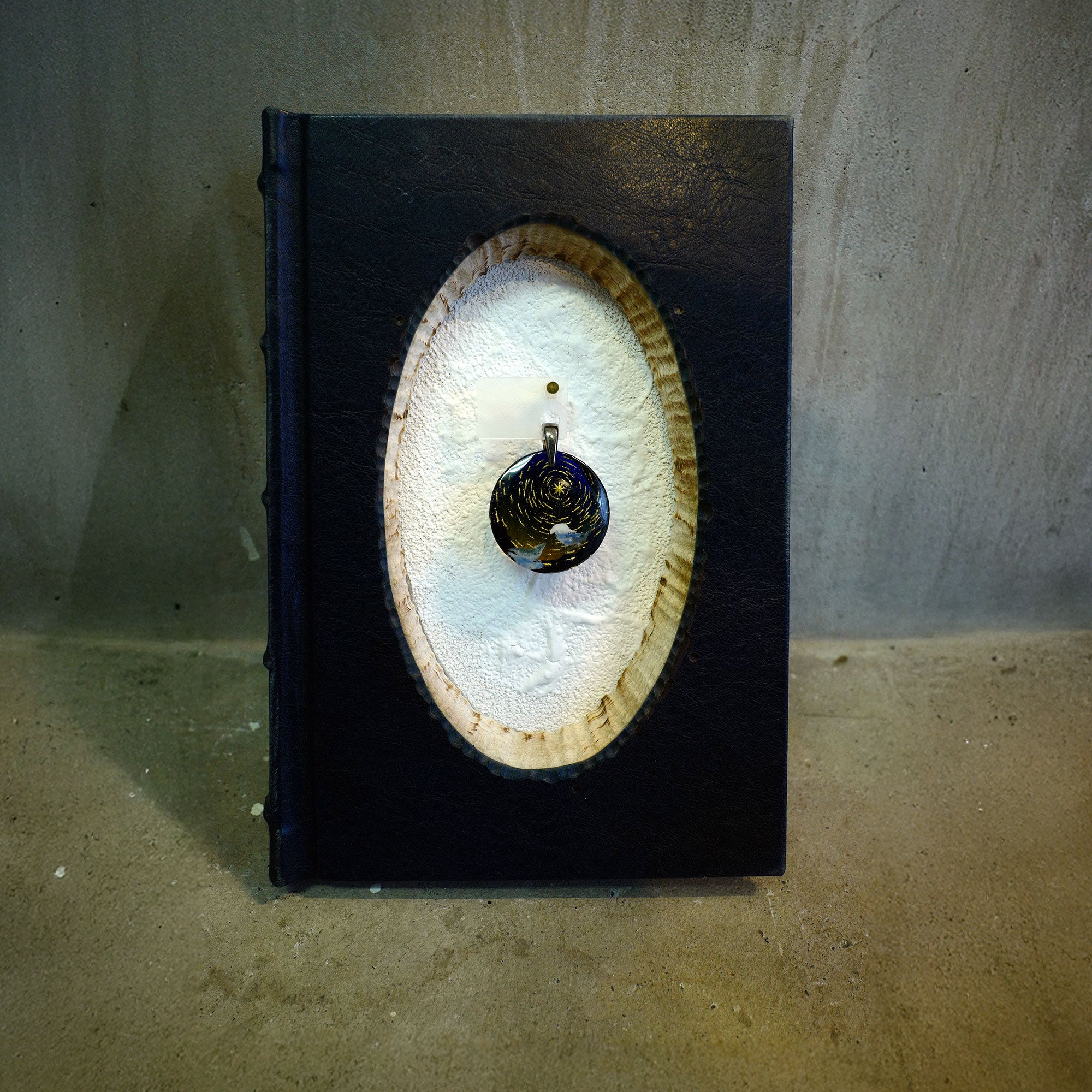 POLARIS 02（アザラシ）