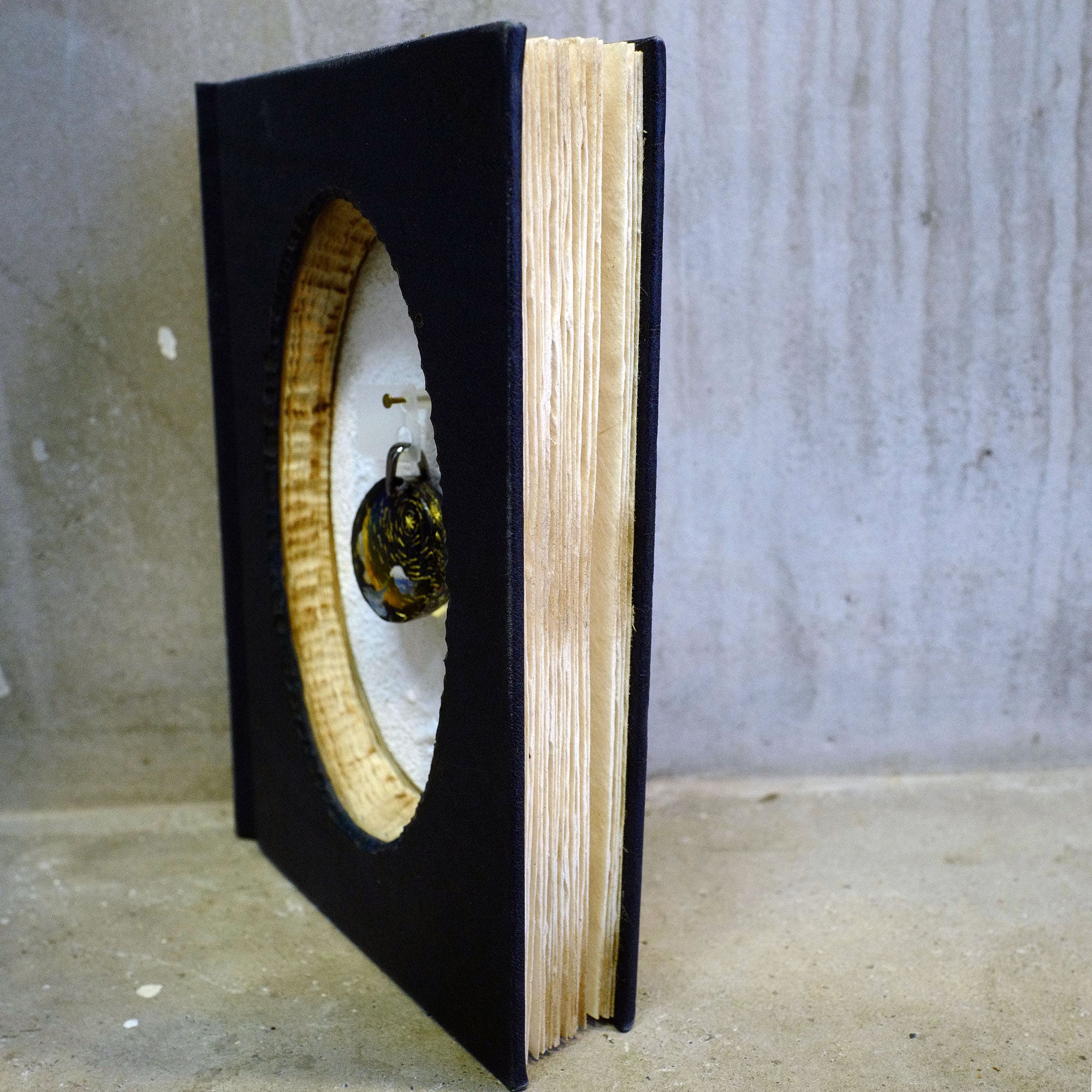 POLARIS 02（アザラシ）