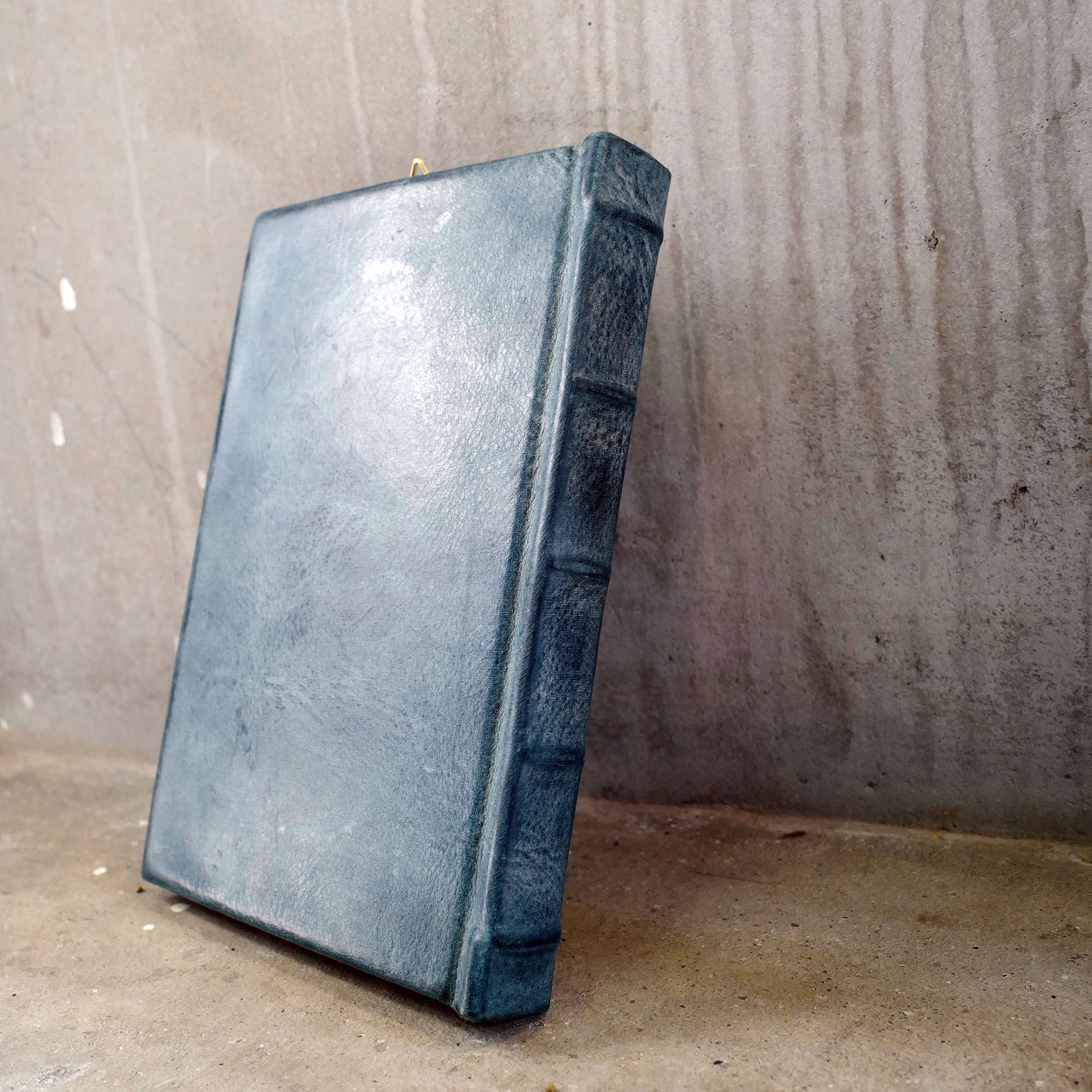 STARLIGHT 03（ペンギン）