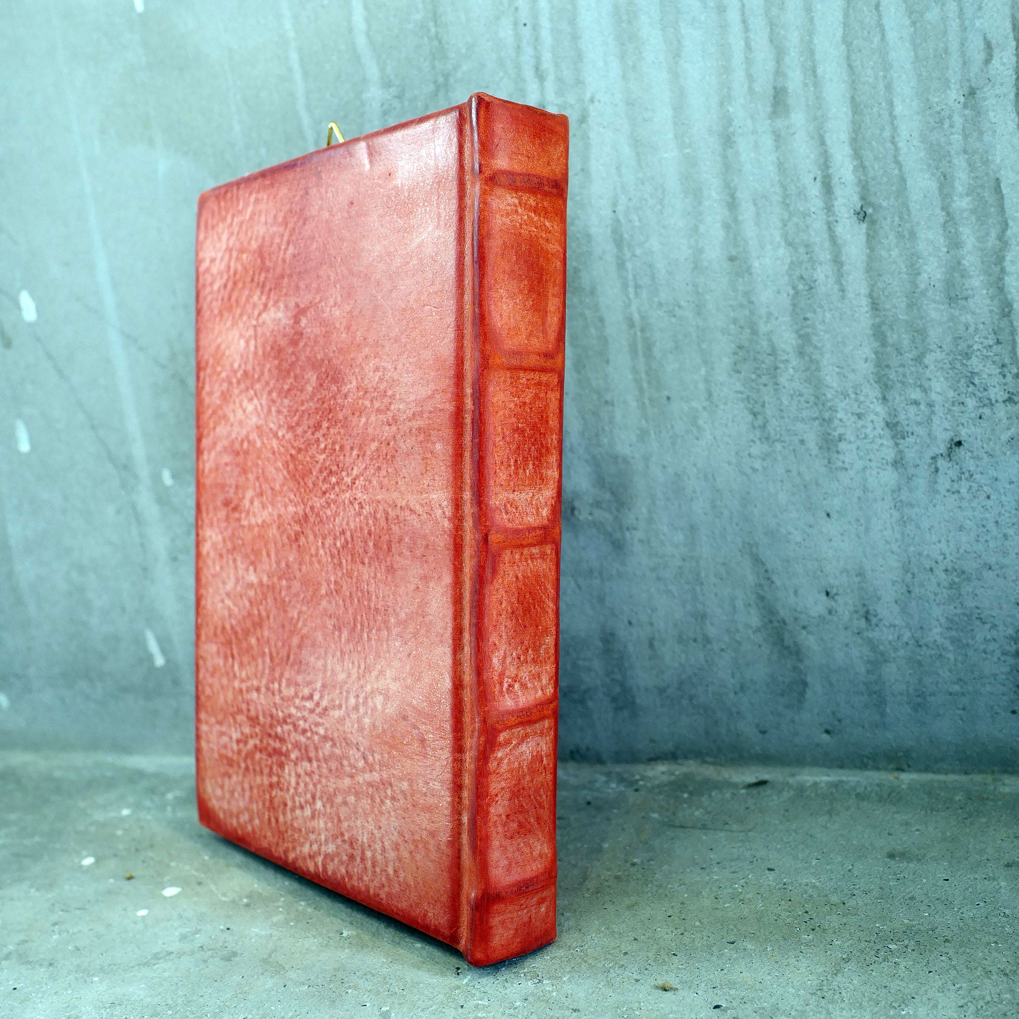 TRUST 01（白狼）