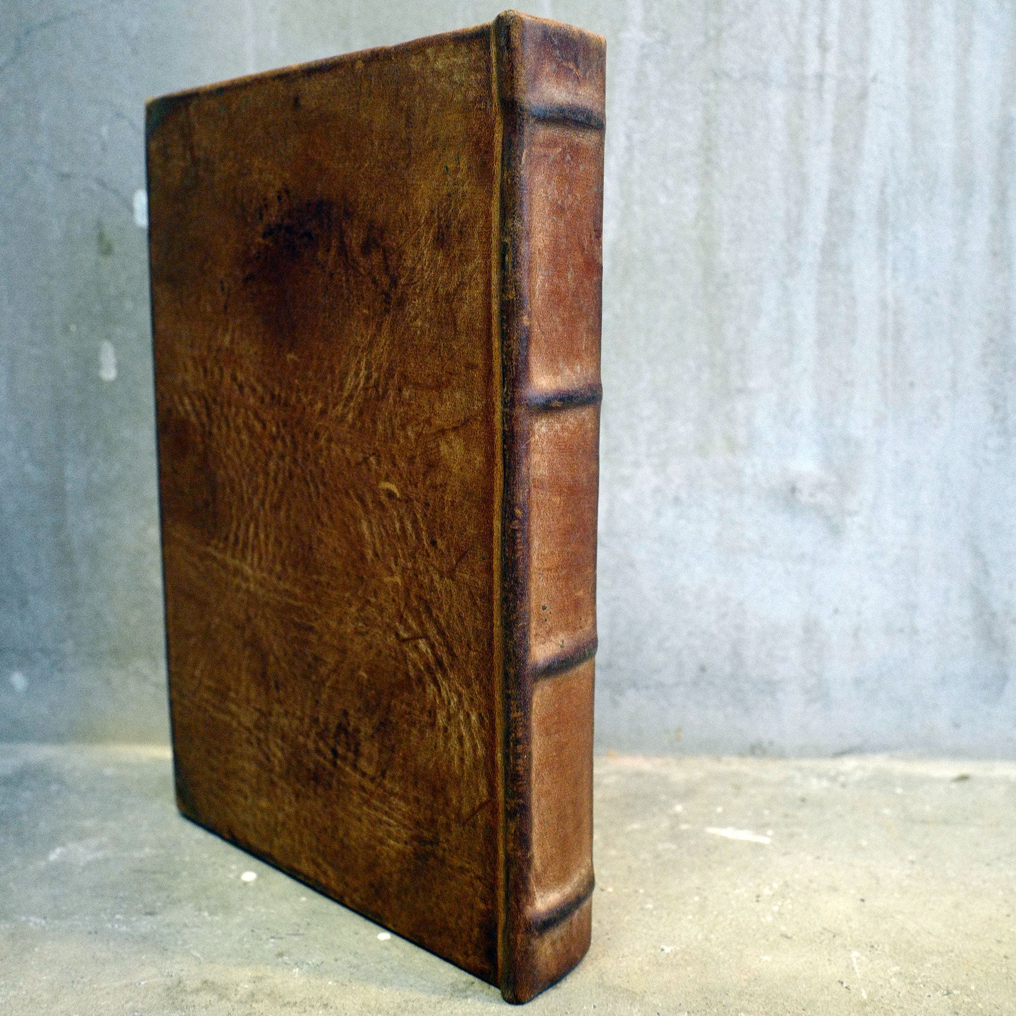 UTOPIA 01（クジラ）