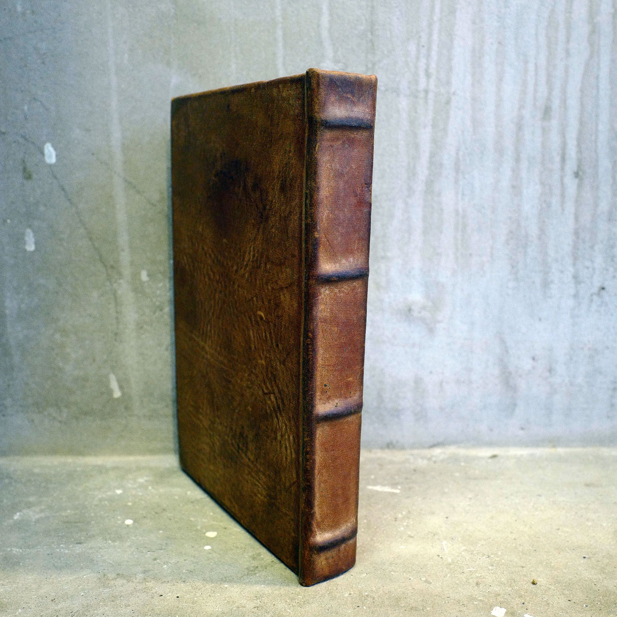 UTOPIA 03（イルカ）