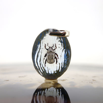 Platinum beetle (beetle016)