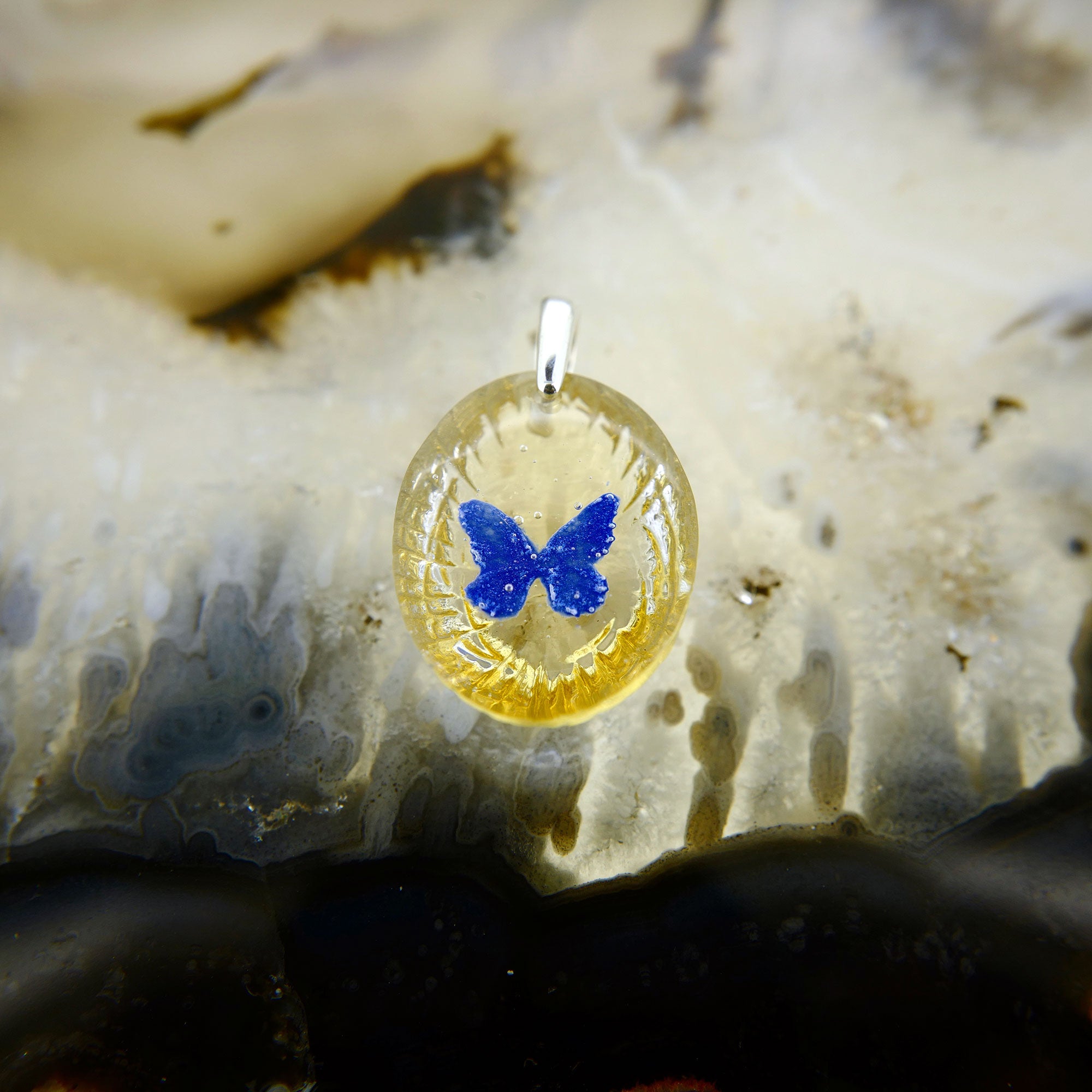 Morpho butterfly (butterfly022)