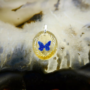 Morpho butterfly (butterfly022)