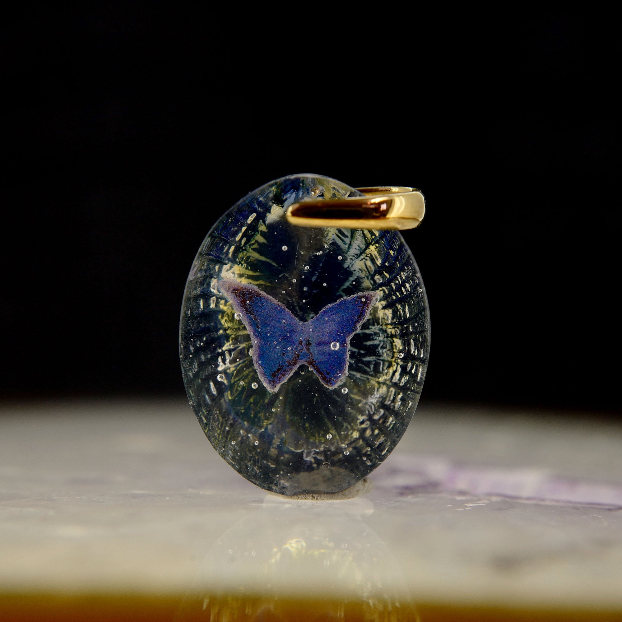 Morpho butterfly (butterfly024)