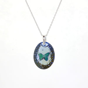 Morpho butterfly (butterfly024)
