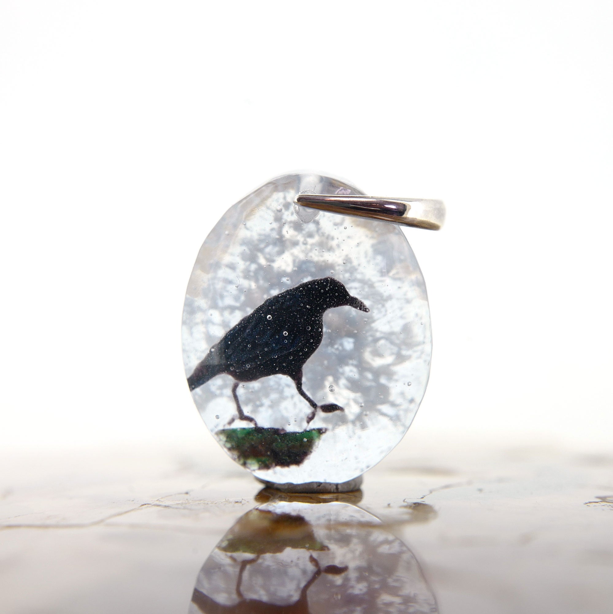 Crow (crow006)