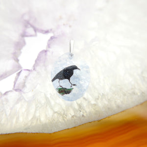 Crow (crow006)