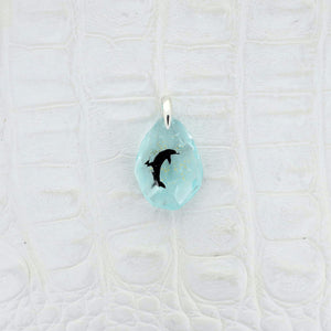 Bottlenose dolphin (dolphin457)