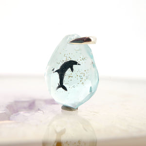 Bottlenose dolphin (dolphin457)