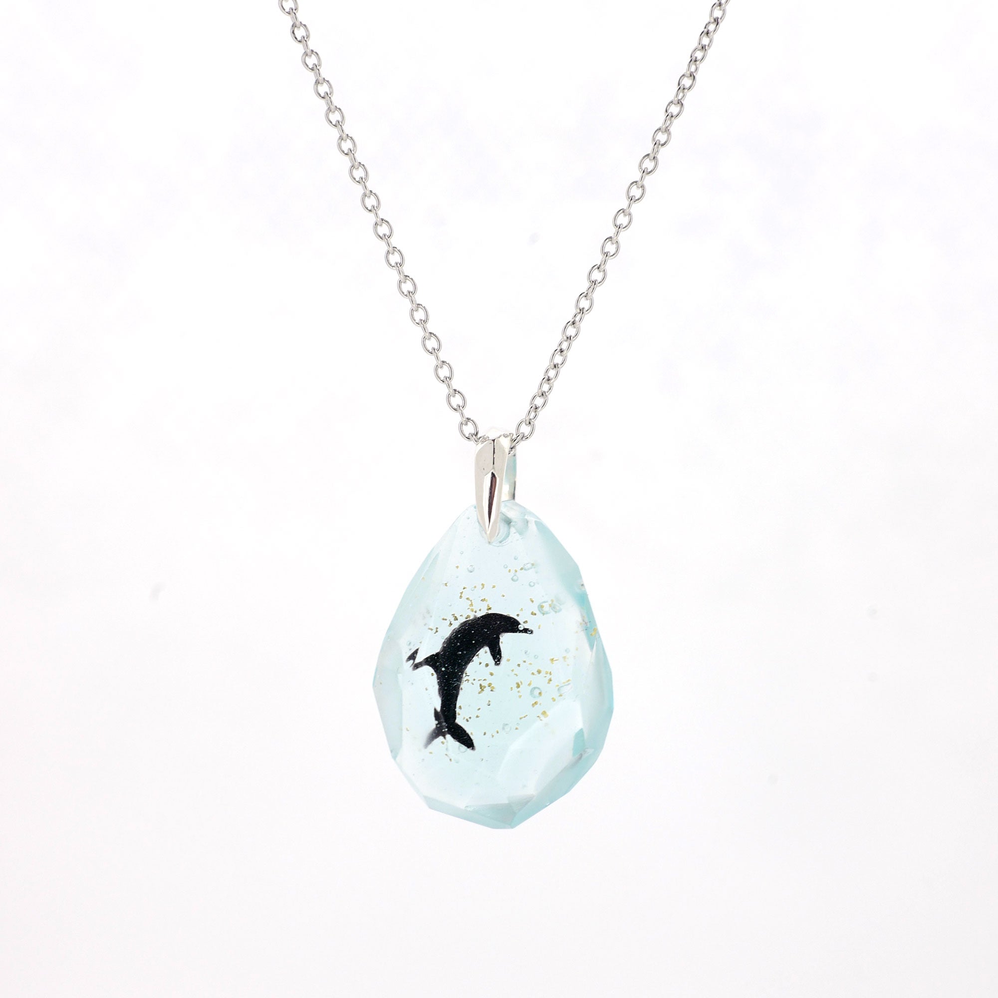 Bottlenose dolphin (dolphin457)