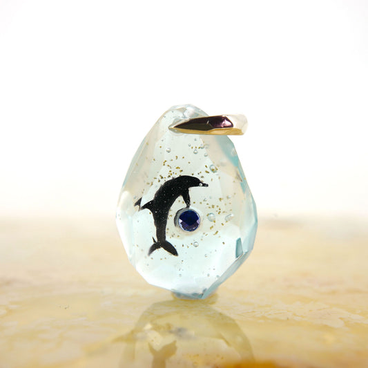 ハンドウイルカ（dolphin457）