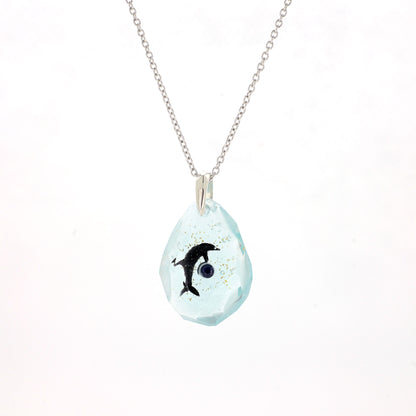 Bottlenose dolphin (dolphin457)