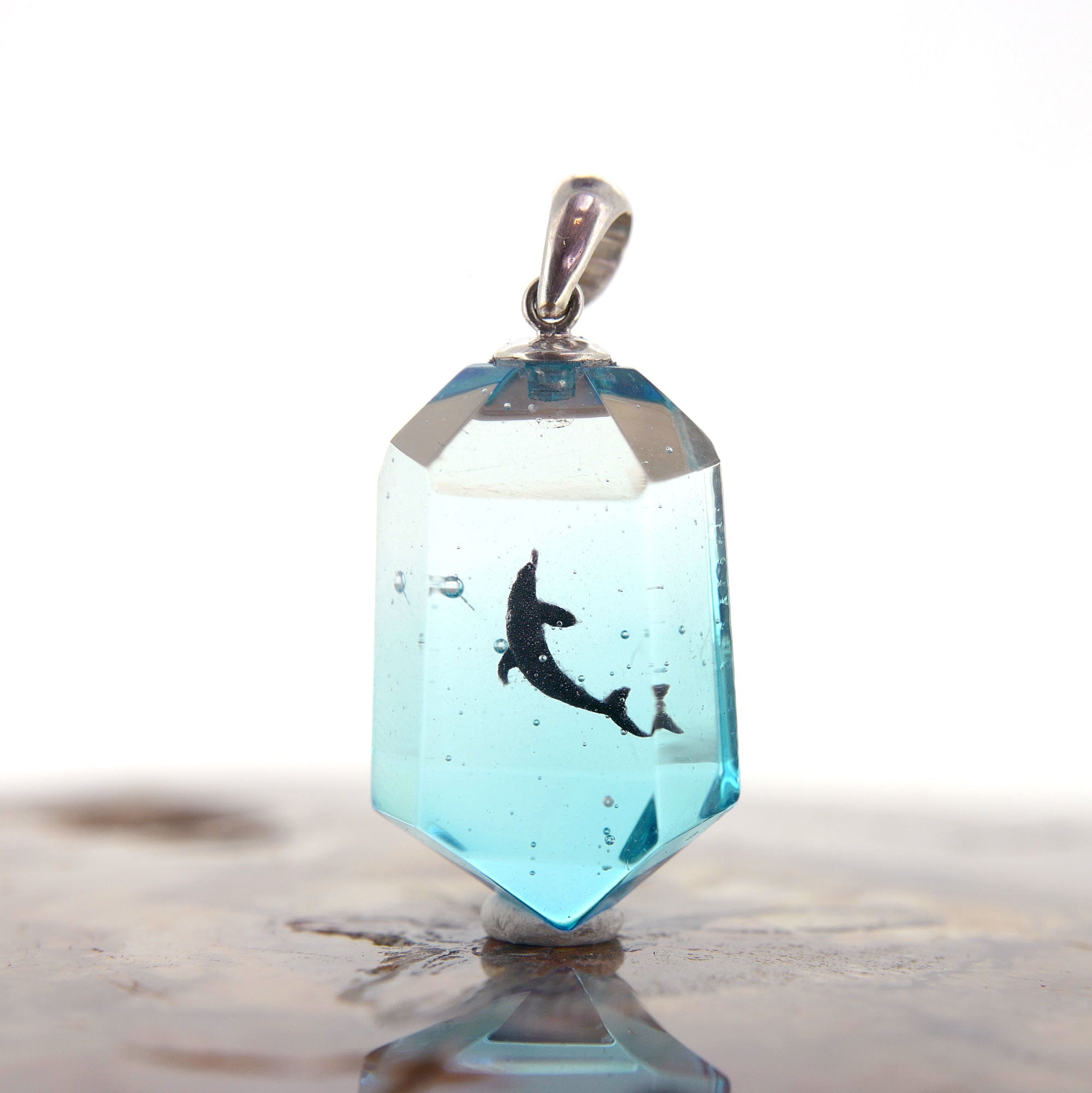 ハンドウイルカ（dolphin462）