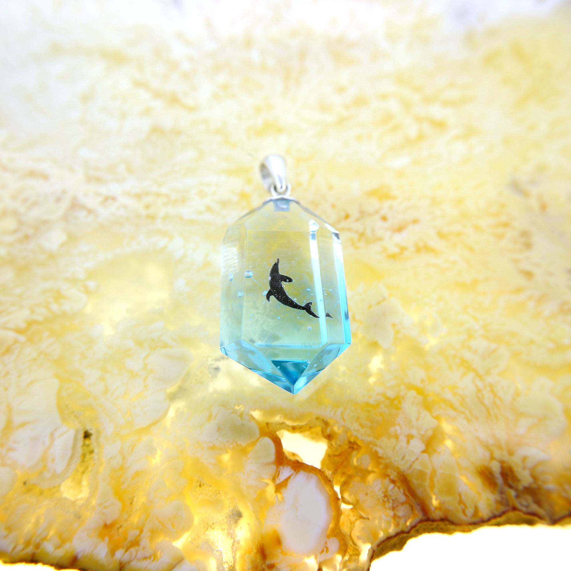 ハンドウイルカ（dolphin462）