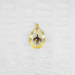 Amber Dragon (dragon160)