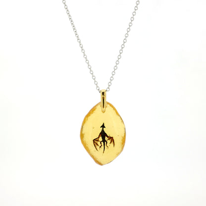 Amber Dragon (dragon161)