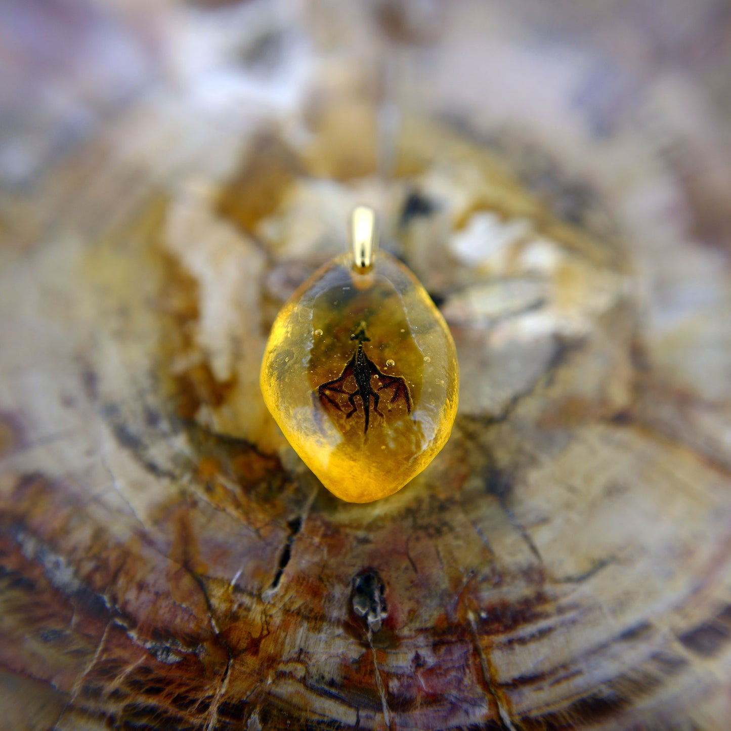 Amber Dragon (dragon161)