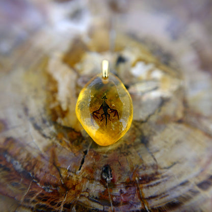Amber Dragon (dragon161)