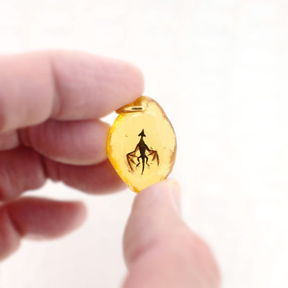 Amber Dragon (dragon161)