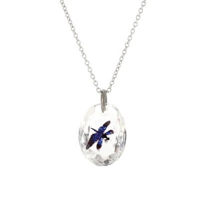 Butterfly dragonfly (dragonfly022)