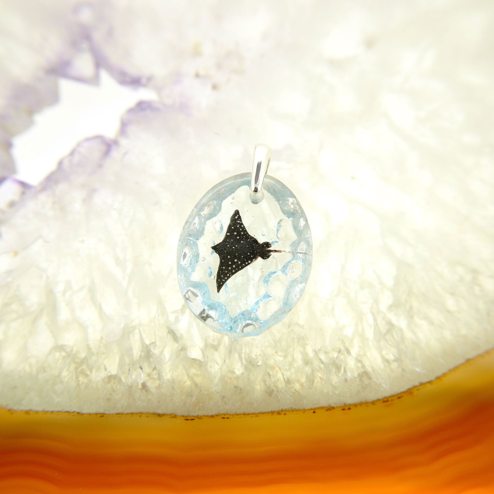 Spotted eagle ray (eagleray005)