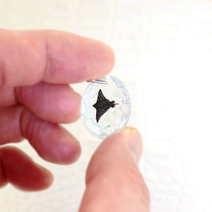 Spotted eagle ray (eagleray005)
