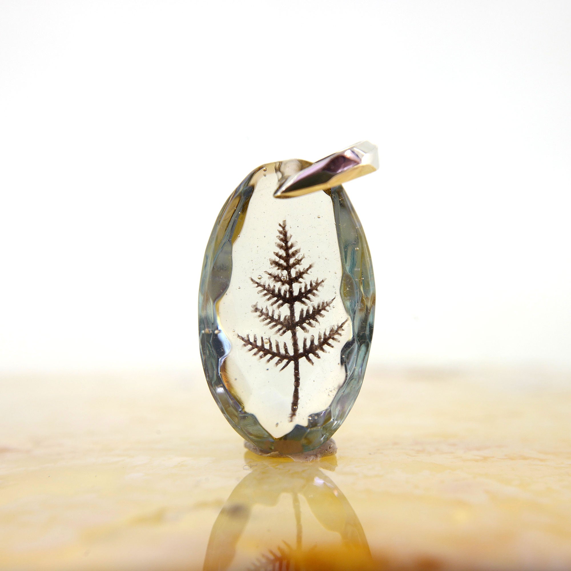 シダ（fern001）