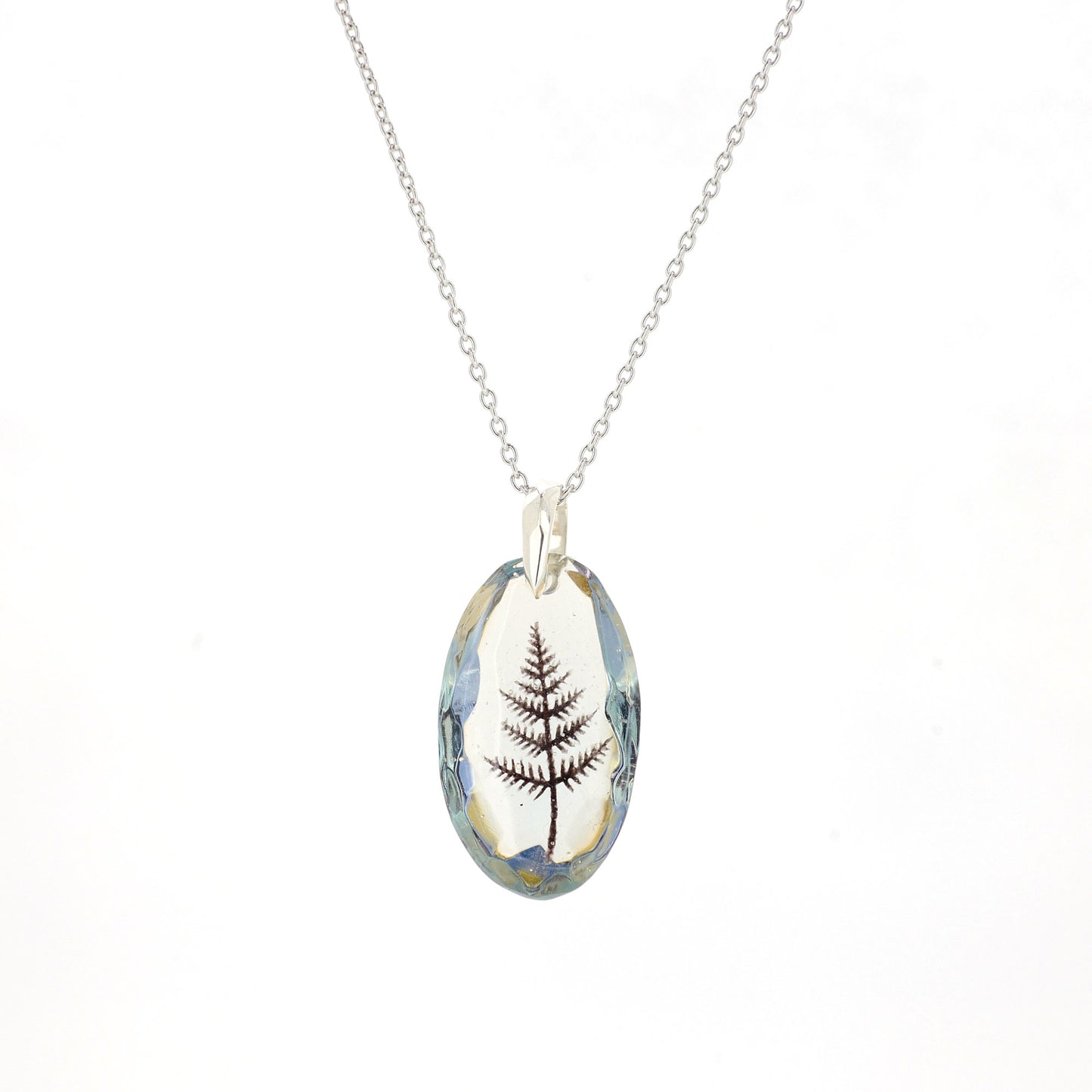 Fern (fern001)